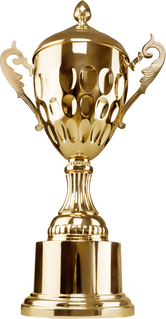 Bronze Trophy 